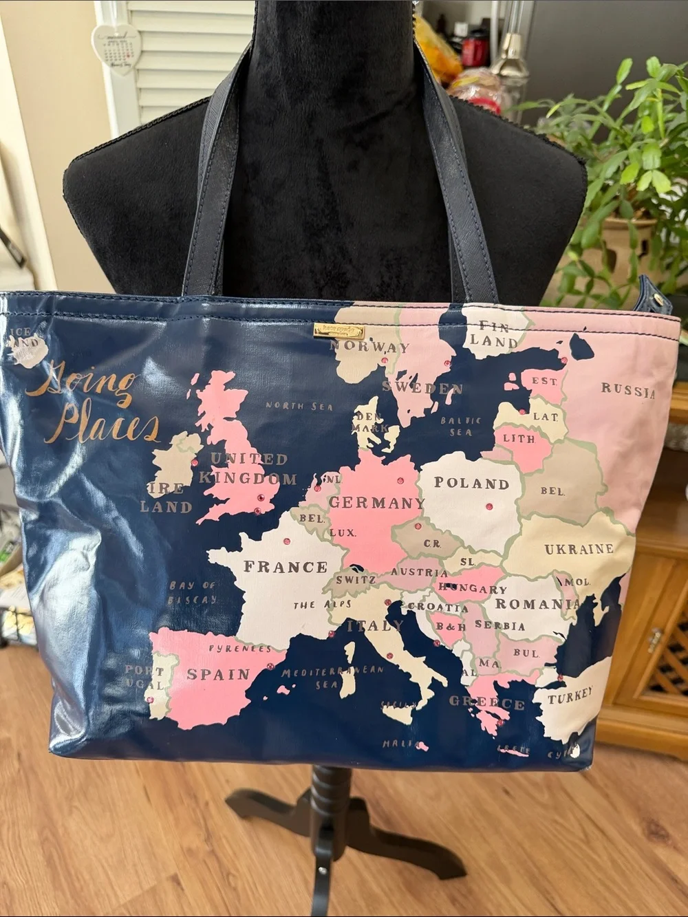 Kate Spade Going Places Map Print Navy and Pink Travel Tote
